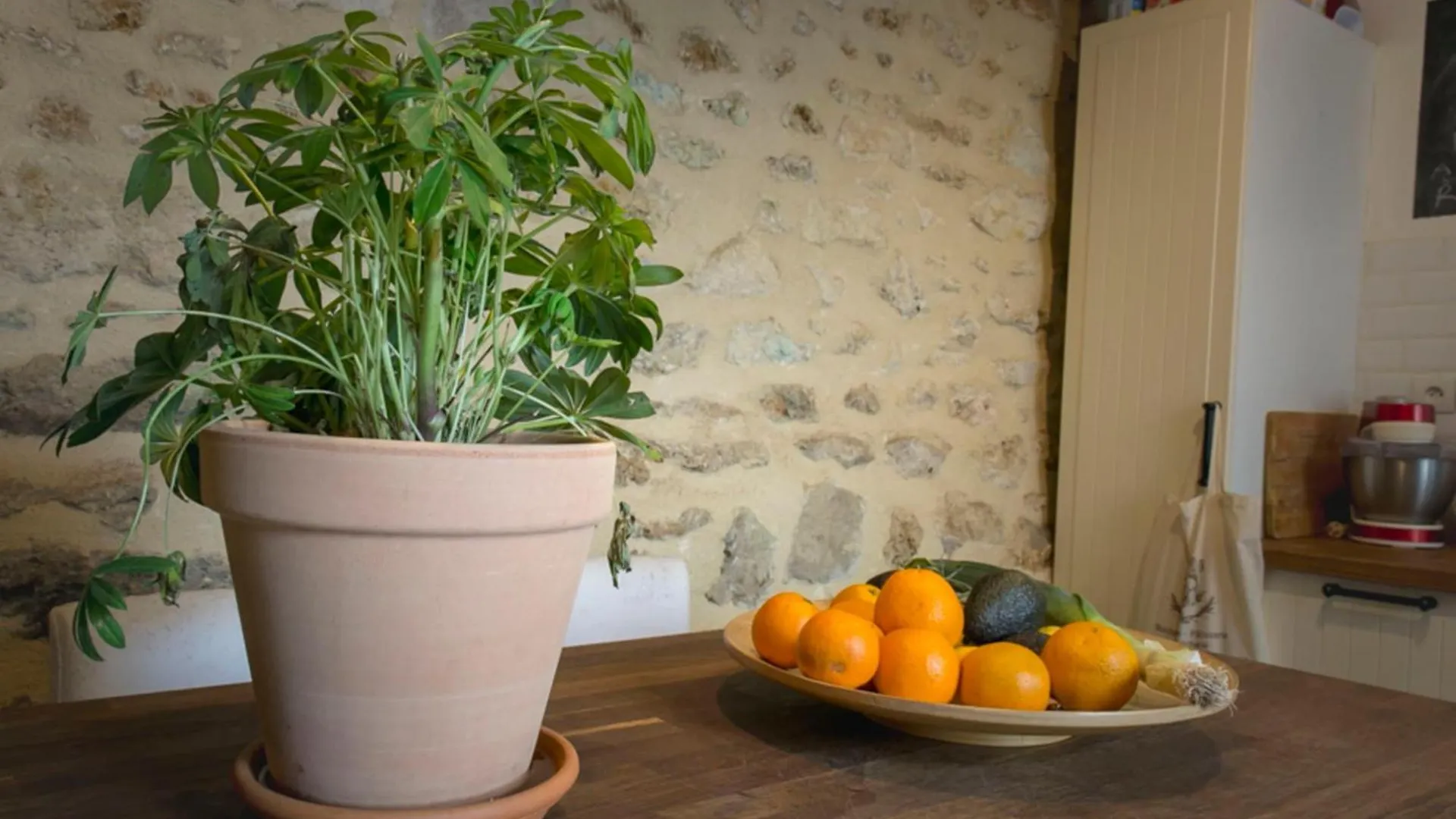 Beautiful Apartment With Terrace Near Bastille Paris